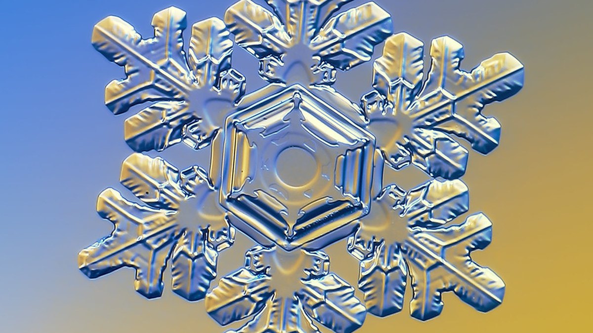 Macro photograph of a crystallising ice structure on a warm background — the nucleation and ordered crystallisation whose latent heat releases the Cryosurge freeze exotherm; Panacea Bio Chem, Bogdan Dicoias